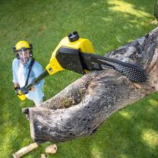 Best Commercial Tree Services  in Soh Ogden, UT
